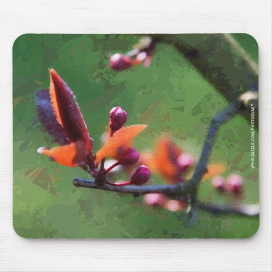 Frühjahr Mousepad (Vorne)