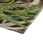 Frühjahr-Mushroom-Schneidplatte Schneidebrett (Ecke)