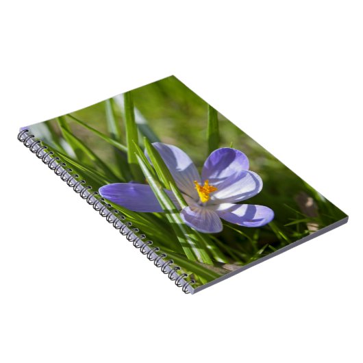 Frühjahr Notizblock (Rechte Seite)