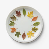 Frühjahr Pappteller (Vorderseite)