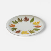 Frühjahr Pappteller (Schrägansicht)