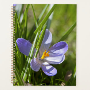 Frühjahr Planer