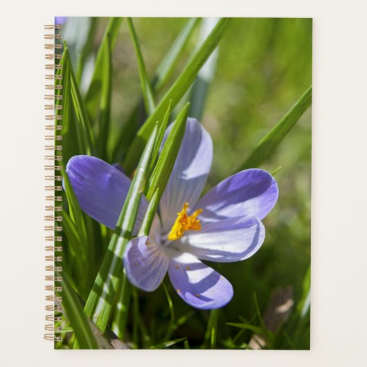 Frühjahr Planer (Vorderseite)