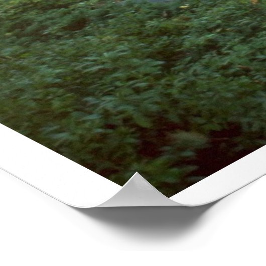 Frühjahr Poster (Ecke)