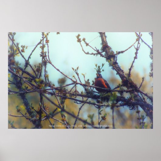 Frühjahr Poster (Vorne)