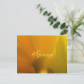 Frühjahr Postkarte (Stehend Vorderseite)