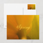 Frühjahr Postkarte (Vorne/Hinten)
