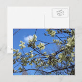 Frühjahr Postkarte (Vorne/Hinten)