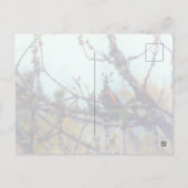Frühjahr Postkarte (Rückseite)