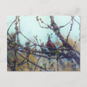 Frühjahr Postkarte (Vorderseite)