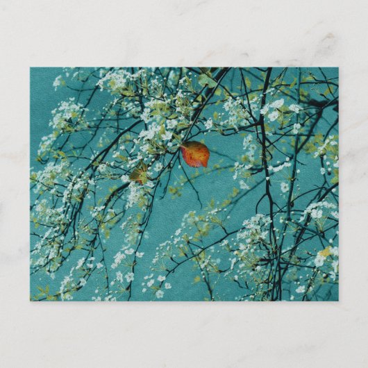 Frühjahr Postkarte (Vorderseite)