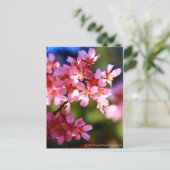 Frühjahr Postkarte (Stehend Vorderseite)