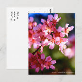 Frühjahr Postkarte (Vorne/Hinten)