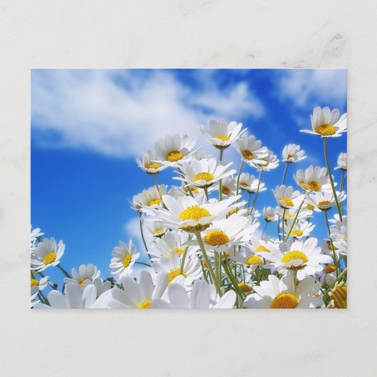 Frühjahr Postkarte (Vorderseite)