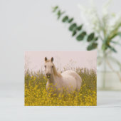 Frühjahr Postkarte (Stehend Vorderseite)