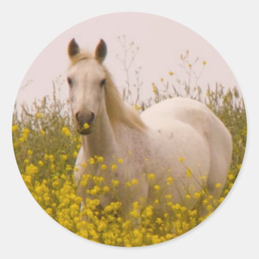 Frühjahr Runder Aufkleber (Vorderseite)