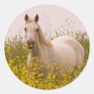 Frühjahr Runder Aufkleber