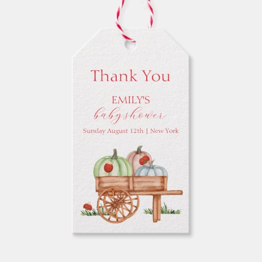 Frühjahr Rustikale moderne Pumpkin Labybug Baby Du Geschenkanhänger (Vorderseite)