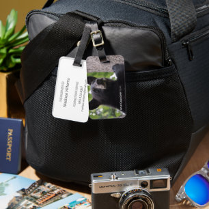 Frühjahr - Schwarzer Bär Gepäckanhänger