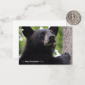 Frühjahr - Schwarzer Bär Mitteilungskarte (Vorderseite/Rückseite Beispiel)