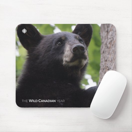 Frühjahr - Schwarzer Bär Mousepad (Mit Mouse)