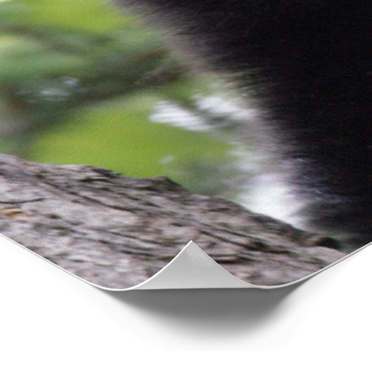 Frühjahr - Schwarzer Bär Poster (Ecke)