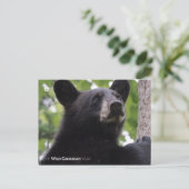 Frühjahr - Schwarzer Bär Postkarte (Stehend Vorderseite)