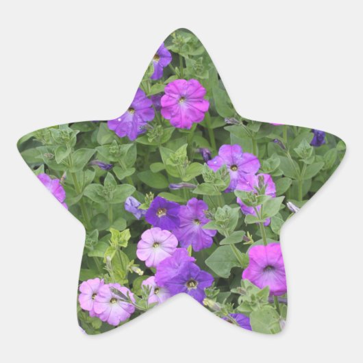 Frühjahr Sommer Floral Lila Petunia Blume Dekorati Stern-Aufkleber (Vorderseite)