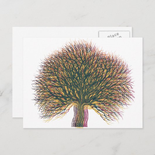Frühjahr Sommer Herbst Winter Tree Postkarte (Vorne/Hinten)