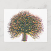 Frühjahr Sommer Herbst Winter Tree Postkarte (Vorderseite)