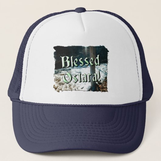 Frühjahr Truckerkappe (Vorderseite)