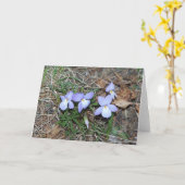 Frühjahr-Veilchen-Gruß-Karte Karte (Gelbe Blume)