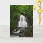 Frühjahr-Wasserfall Karte (Gelbe Blume)