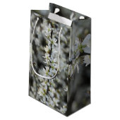 Frühjahr, Weißblüten Foto Maßgeschneiderte Geschen Kleine Geschenktüte (Rückseite Schrägansicht)