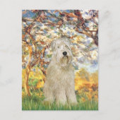 Frühjahr - Wheaten Terrier 7 Postkarte (Vorderseite)