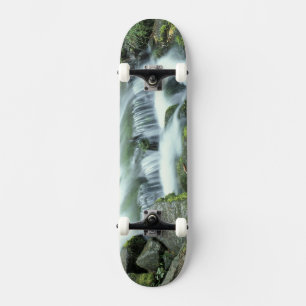 Frühjahr, Yosemite-Nationalpark Skateboard