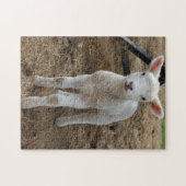 Frühjahrlamm Puzzle (Horizontal)