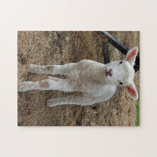 Frühjahrlamm Puzzle (Horizontal)