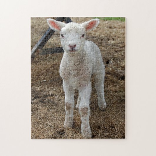 Frühjahrlamm Puzzle (Vertikal)