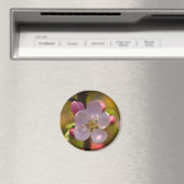 Frühjahrs-Apfelblüte Magnet (In Situ (Geschirrspüler))