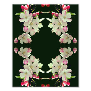 Frühjahrs-Apple blüht Abstrakt Art 8x10 Fotodruck