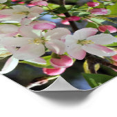 Frühjahrs-Apps blühen Abstrakt Poster (Ecke)