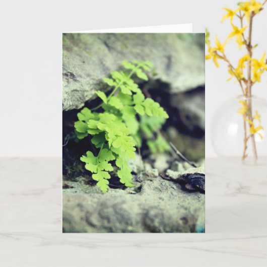 Frühjahrs-Fern-Jede Anlässe Karte (Gelbe Blume)