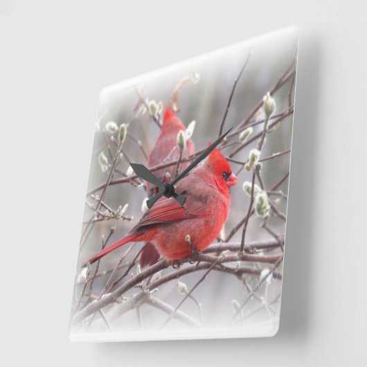 Frühjahrs-Kardinal Quadratische Wanduhr (Winkel)