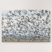 Frühjahrs-Migrationspuzzle Puzzle (Horizontal)