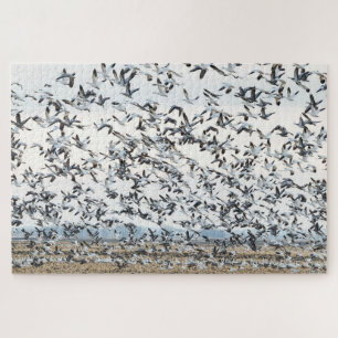 Frühjahrs-Migrationspuzzle Puzzle