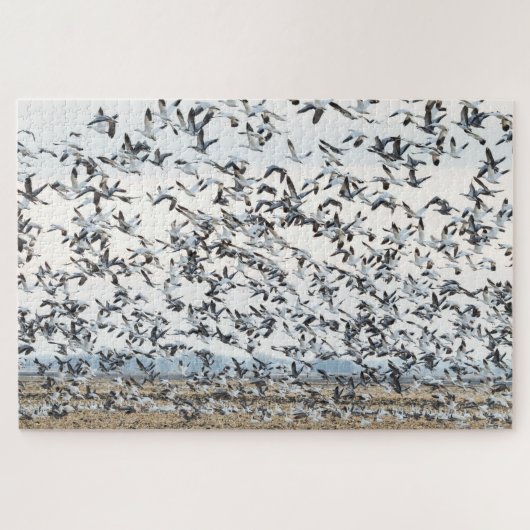 Frühjahrs-Migrationspuzzle Puzzle (Horizontal)