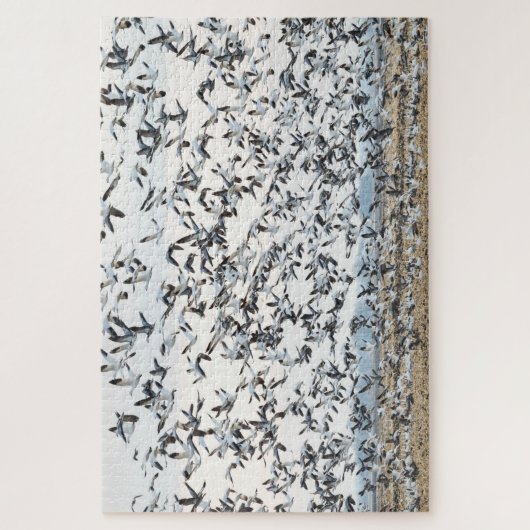 Frühjahrs-Migrationspuzzle Puzzle (Vertikal)