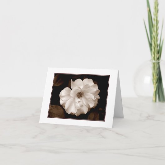 'Frühjahrs-Sepia-Rose' Blank-Note-Karte Karte (Vorderseite)