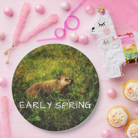 Frühjahrs-Teller Pappteller (Party)